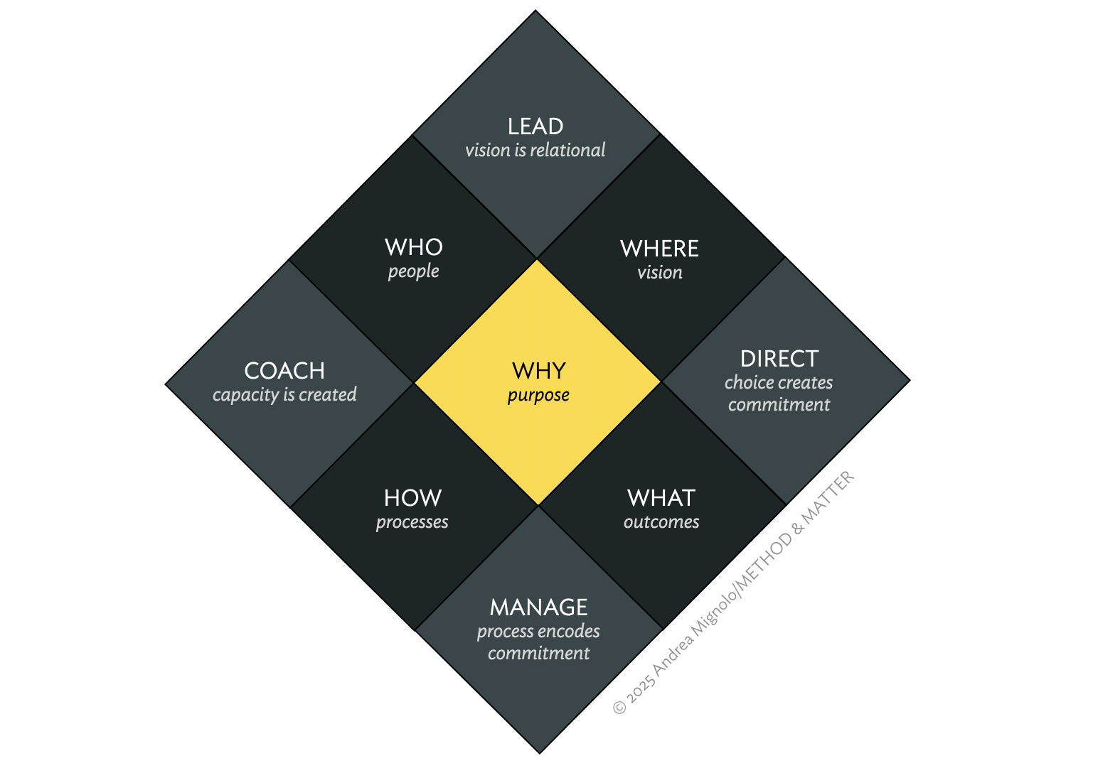 The full Leadership Fluency Model